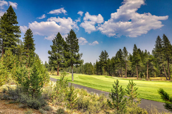 11431 Ghirard Rd Truckee CA-large-008-037-Exterior-1500x1000-72dpi