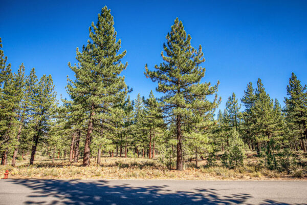 7585 Lahontan Dr Truckee CA-large-002-006-Lot-1500x1000-72dpi