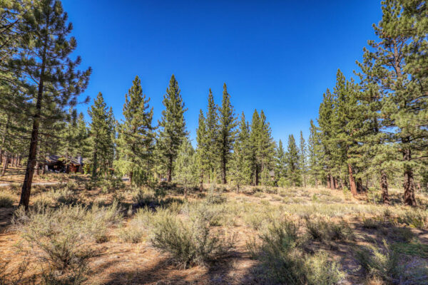 7585 Lahontan Dr Truckee CA-large-007-017-Lot-1500x1000-72dpi