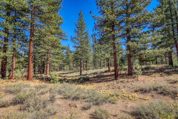 7585 Lahontan Dr Truckee CA-large-011-010-Lot-1500x1000-72dpi