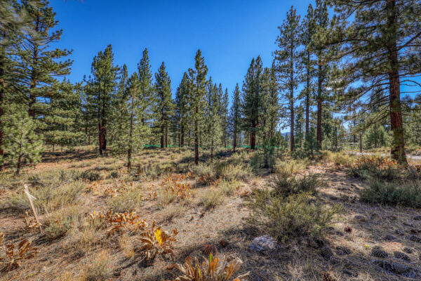 7585 Lahontan Dr Truckee CA-large-014-011-Lot-1500x1000-72dpi