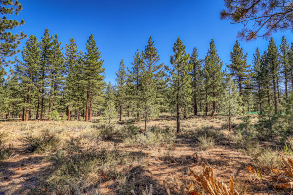 7585 Lahontan Dr Truckee CA-large-017-015-Lot-1500x1000-72dpi