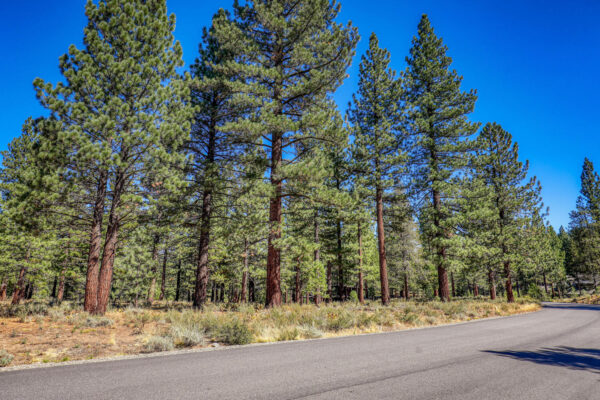 8154 Lahontan Dr Truckee CA-large-004-008-Lot-1500x1000-72dpi