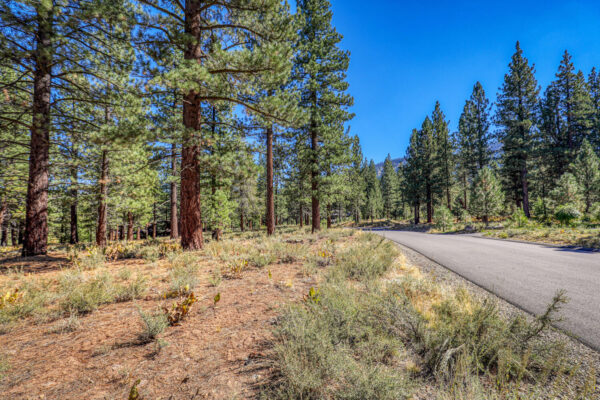 8154 Lahontan Dr Truckee CA-large-006-011-Lot-1500x1000-72dpi