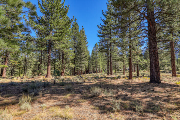 8154 Lahontan Dr Truckee CA-large-007-013-Lot-1500x1000-72dpi