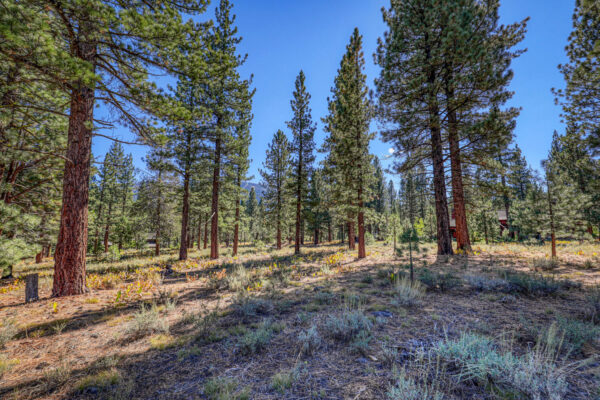 8154 Lahontan Dr Truckee CA-large-008-012-Lot-1500x1000-72dpi