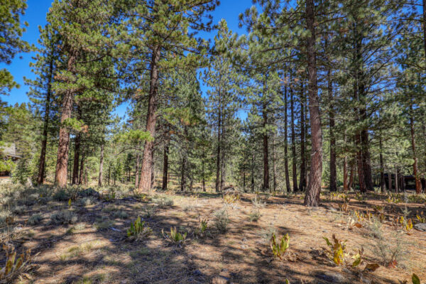 8154 Lahontan Dr Truckee CA-large-010-018-Lot-1500x1000-72dpi