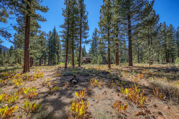 8154 Lahontan Dr Truckee CA-large-011-017-Lot-1500x1000-72dpi