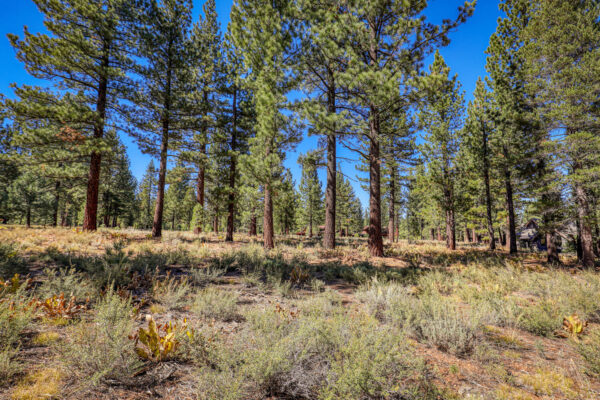 8154 Lahontan Dr Truckee CA-large-015-022-Lot-1500x1000-72dpi
