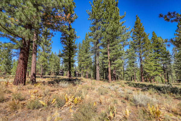 8154 Lahontan Dr Truckee CA-large-017-015-Lot-1500x1000-72dpi